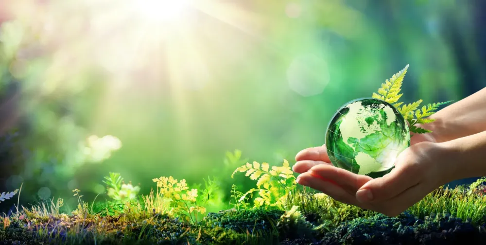 Ecologie